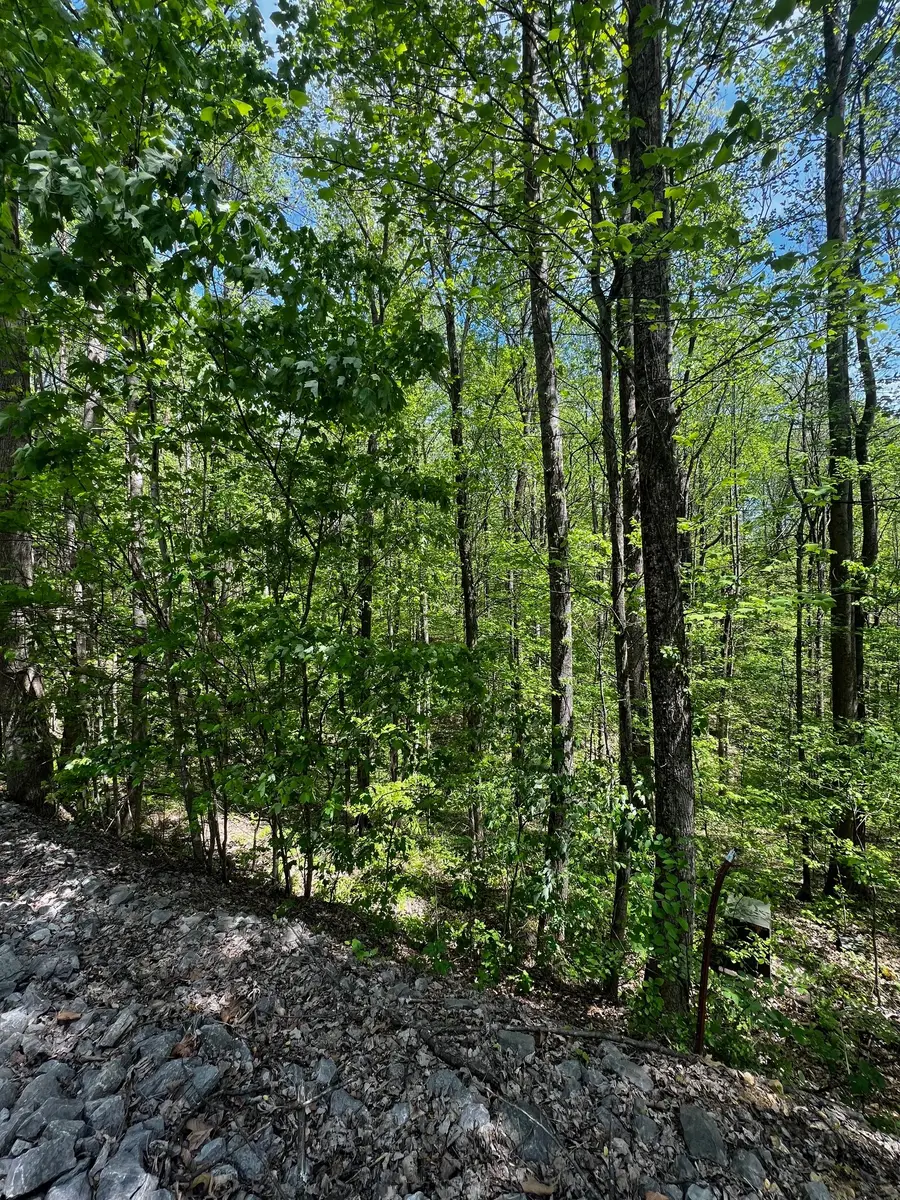 0 Lola Dr, Smithville, TN 37166 - #3