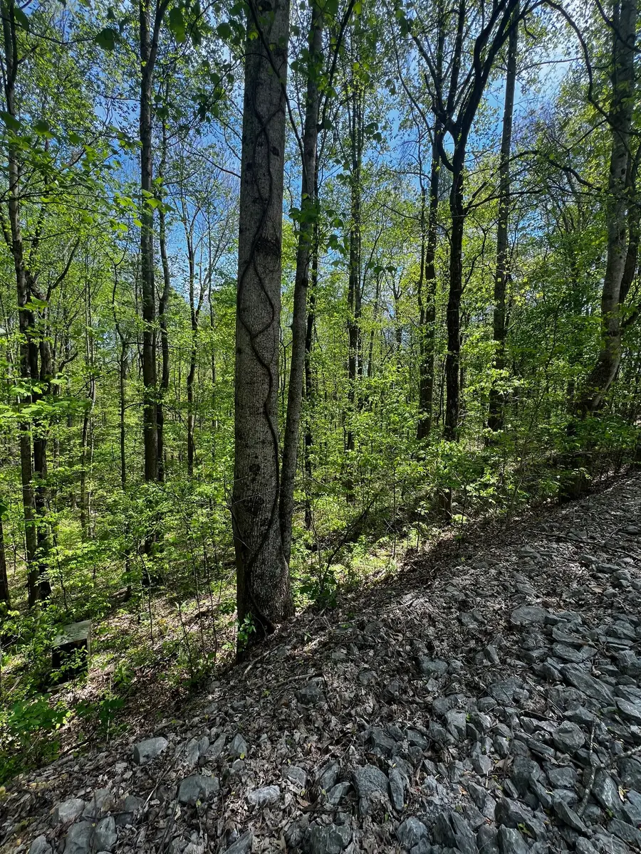 0 Lola Dr, Smithville, TN 37166 - #2