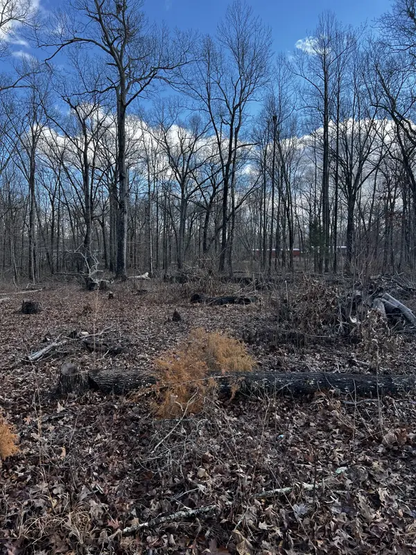 0 Oak Dr, Beechgrove, TN 37018