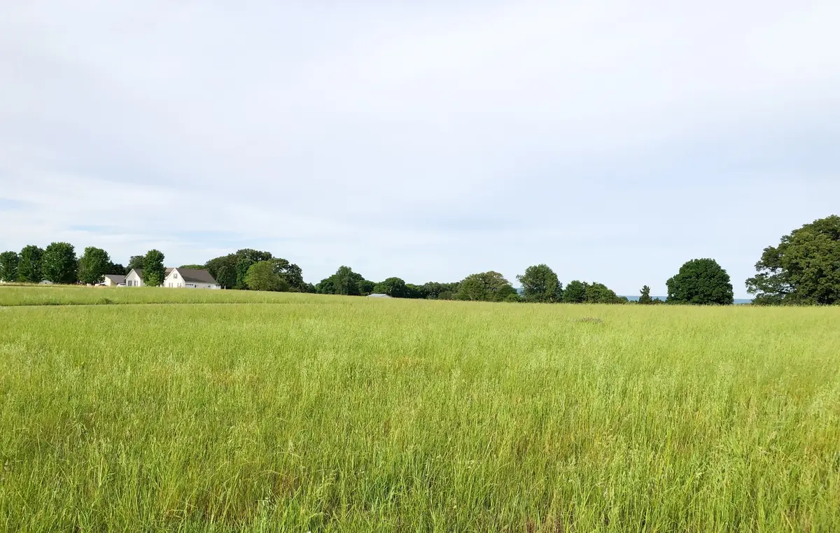 0 Old Holders Cove Rd, Winchester, TN 37398 - #1