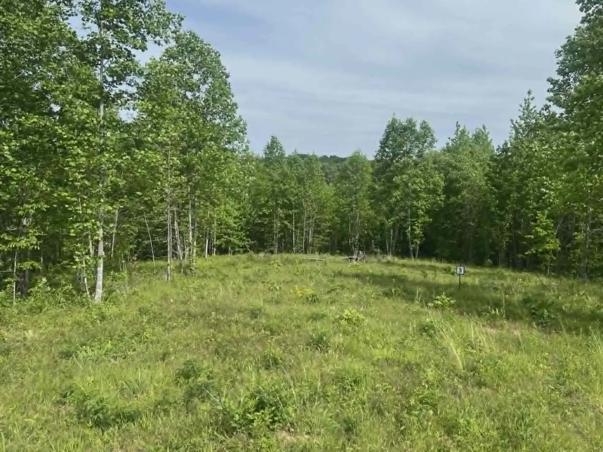 0 Freedom Ridge, Indian Mound, TN 37079 - #1
