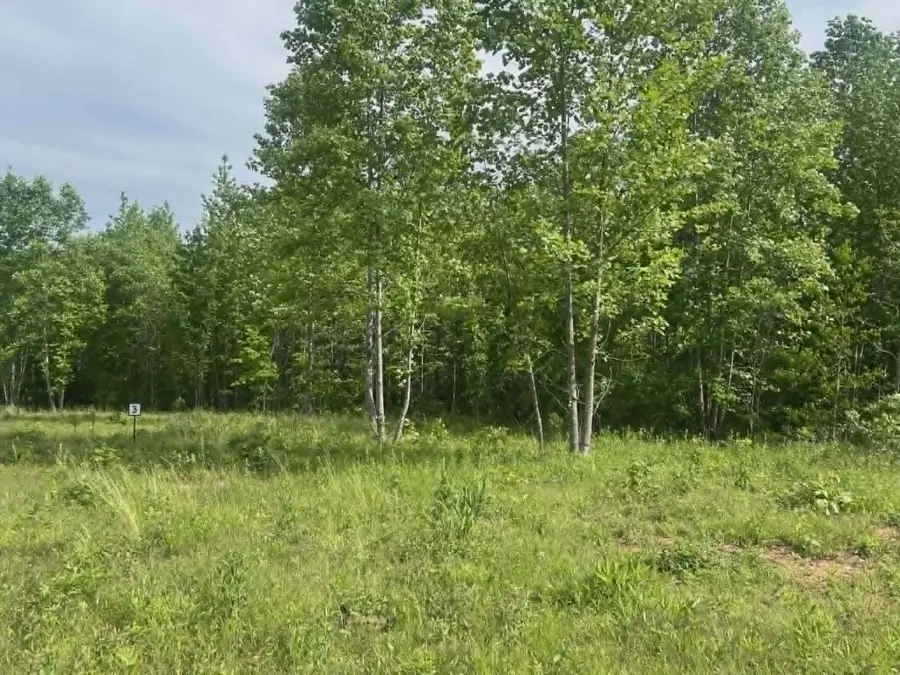 0 Freedom Ridge, Indian Mound, TN 37079 - #2