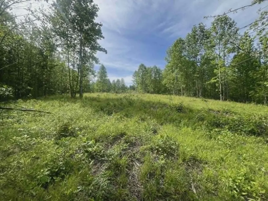 0 Freedom Ridge, Indian Mound, TN 37079 - #3