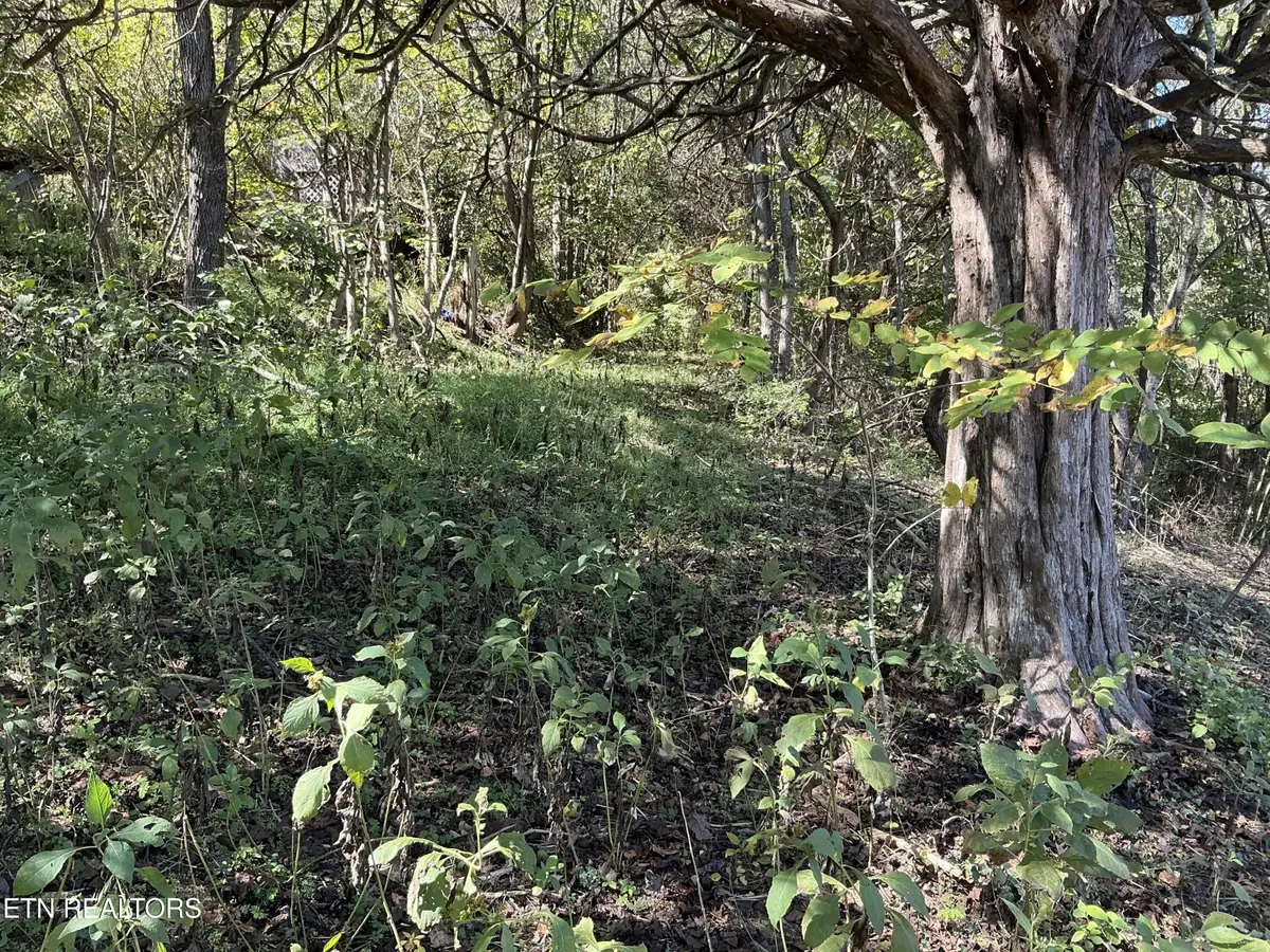0 Moore Ln, Powell, TN 37849 - #1