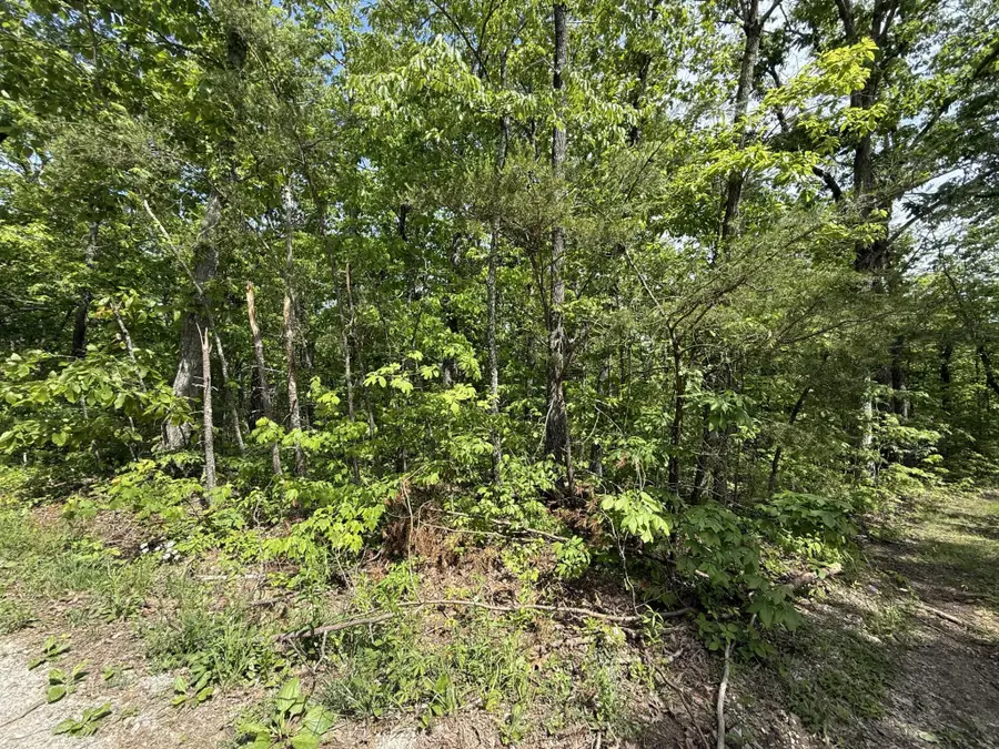 1 Cool Breeze Boulevard, Crossville, TN 38572 - #3