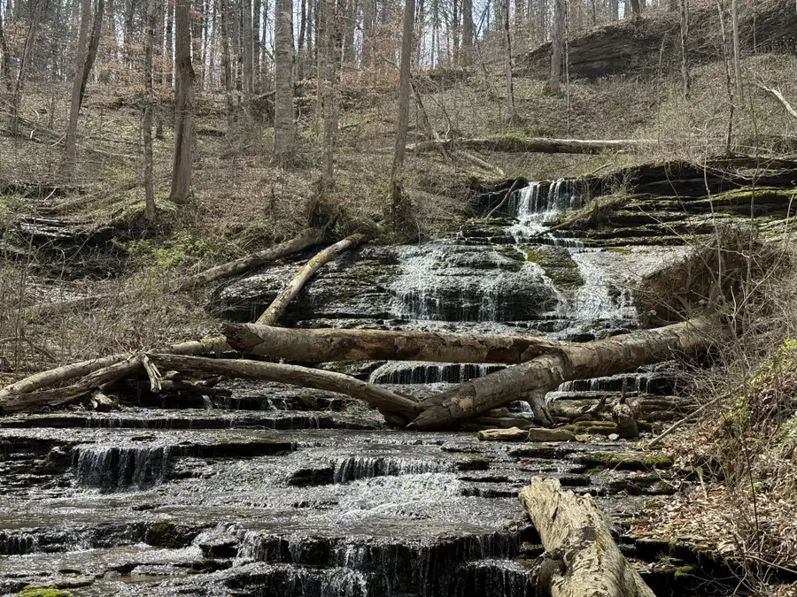 335 Nelson Cemetery Rd, Monroe, TN 38573 - #3
