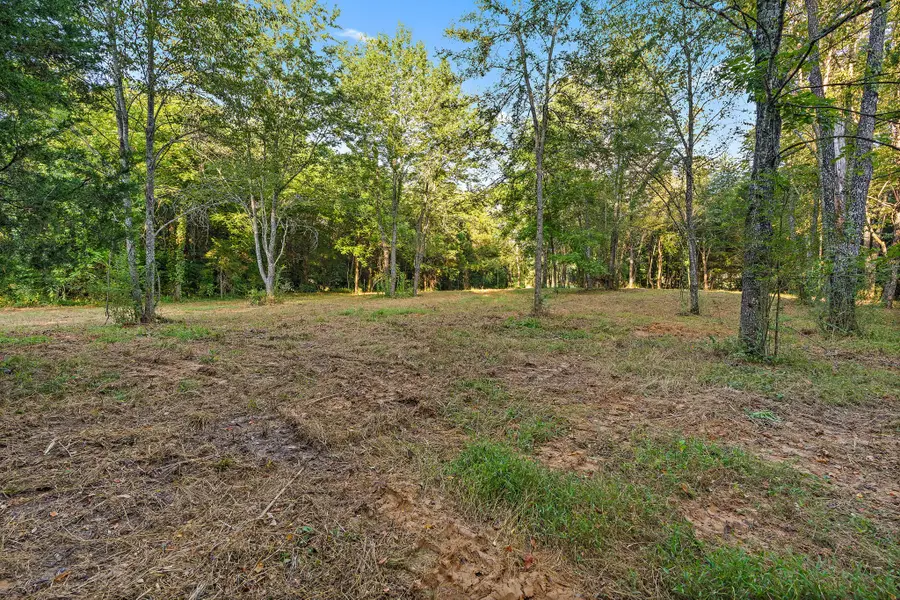 2821 Double Branch Rd, Columbia, TN 38401 - #3