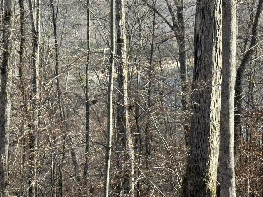 0 Mountain Harbor Drive, Sparta, TN 38583 - #3