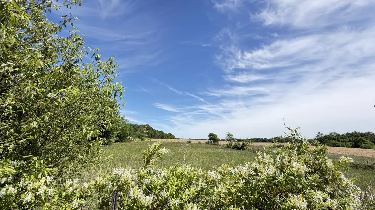 5901 Payne Rd, Portland, TN 37148 - #1