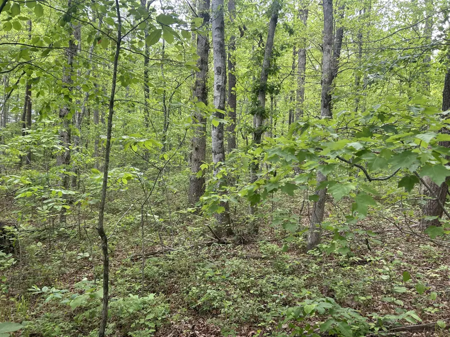 0 Rt Davis Rd, Spencer, TN 38585 - #2
