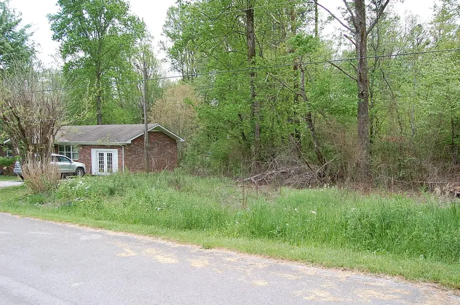 66 51st Avenue, Gruetli Laager, TN 37339 - #2