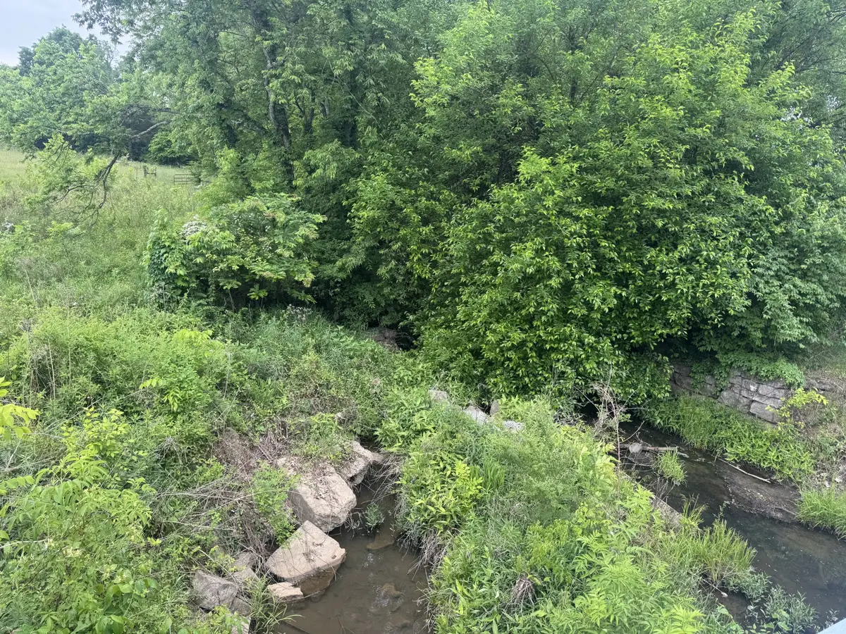 0 Midland Fosterville Rd, Bell Buckle, TN 37020 - #1