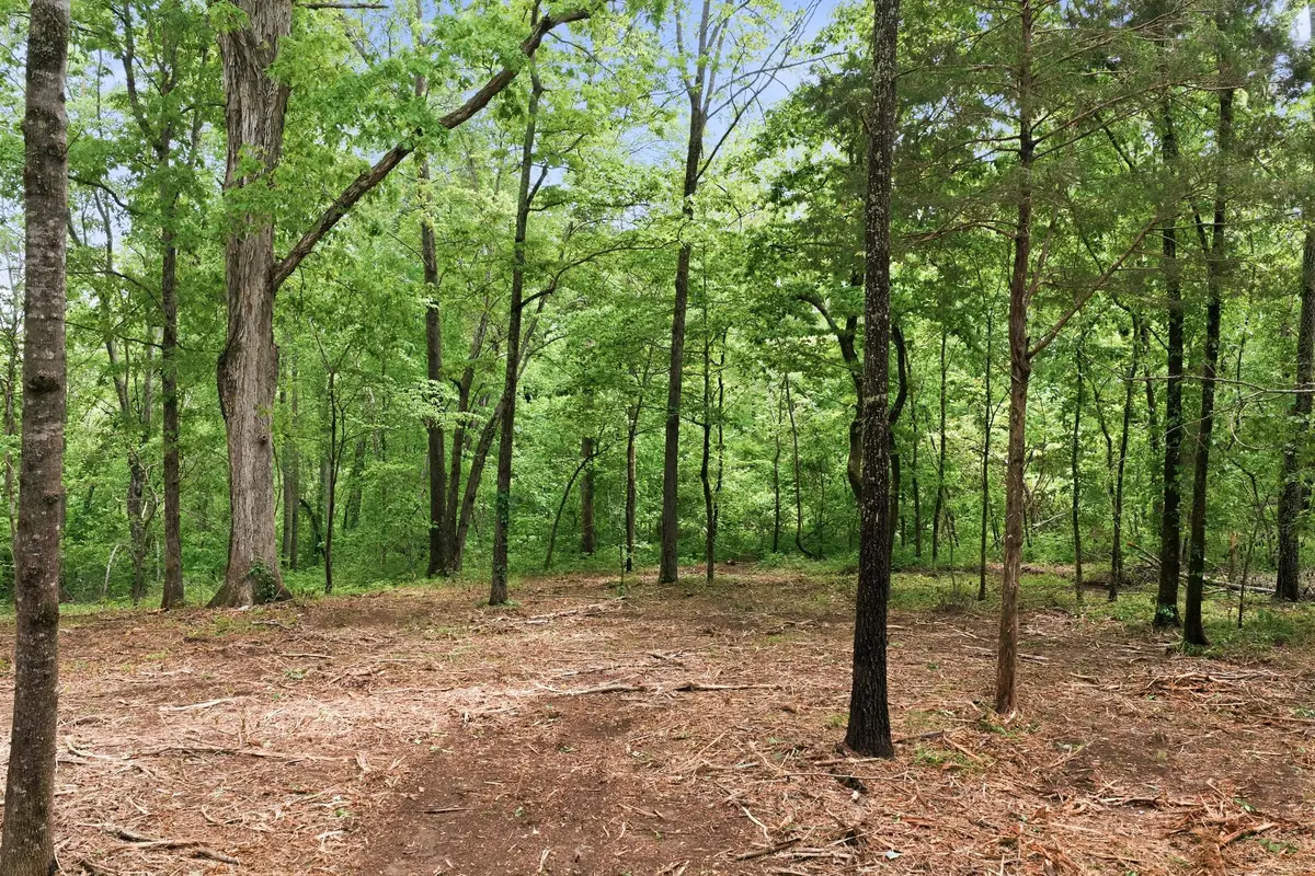 0 Willow Springs Road, Lyles, TN 37098 - #1
