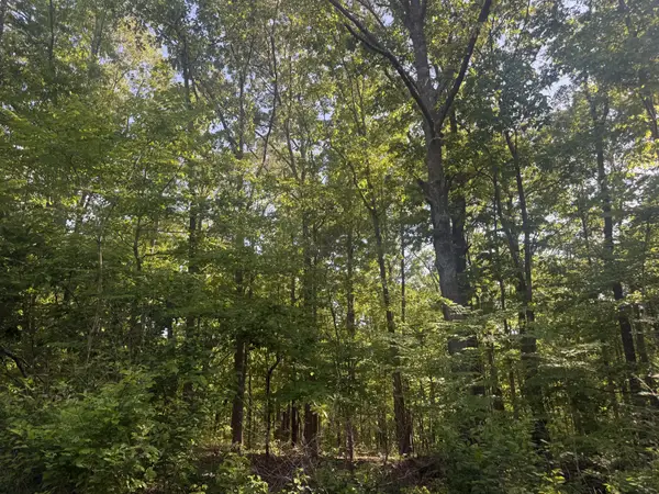 147 Wild Turkey Ct, Summertown, TN 38483
