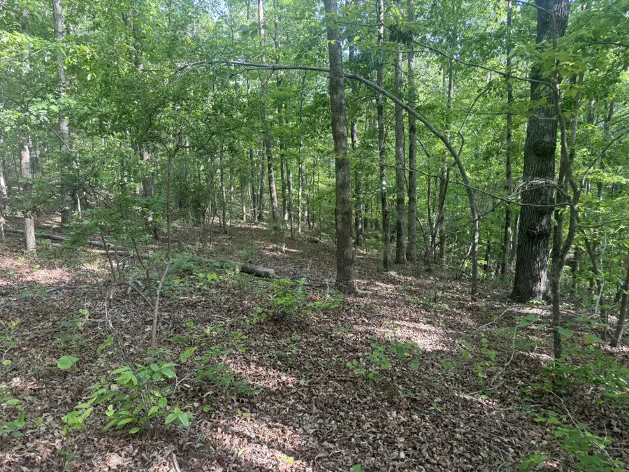 147 Wild Turkey Ct, Summertown, TN 38483 - #3