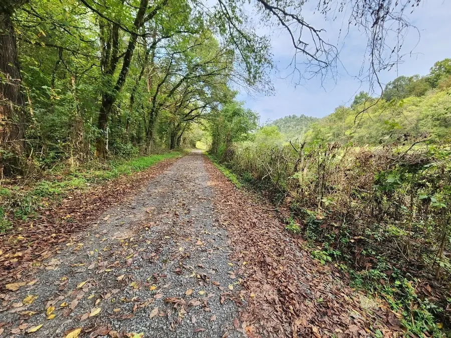 0 Webster Branch Ln, Whitleyville, TN 38588 - #2
