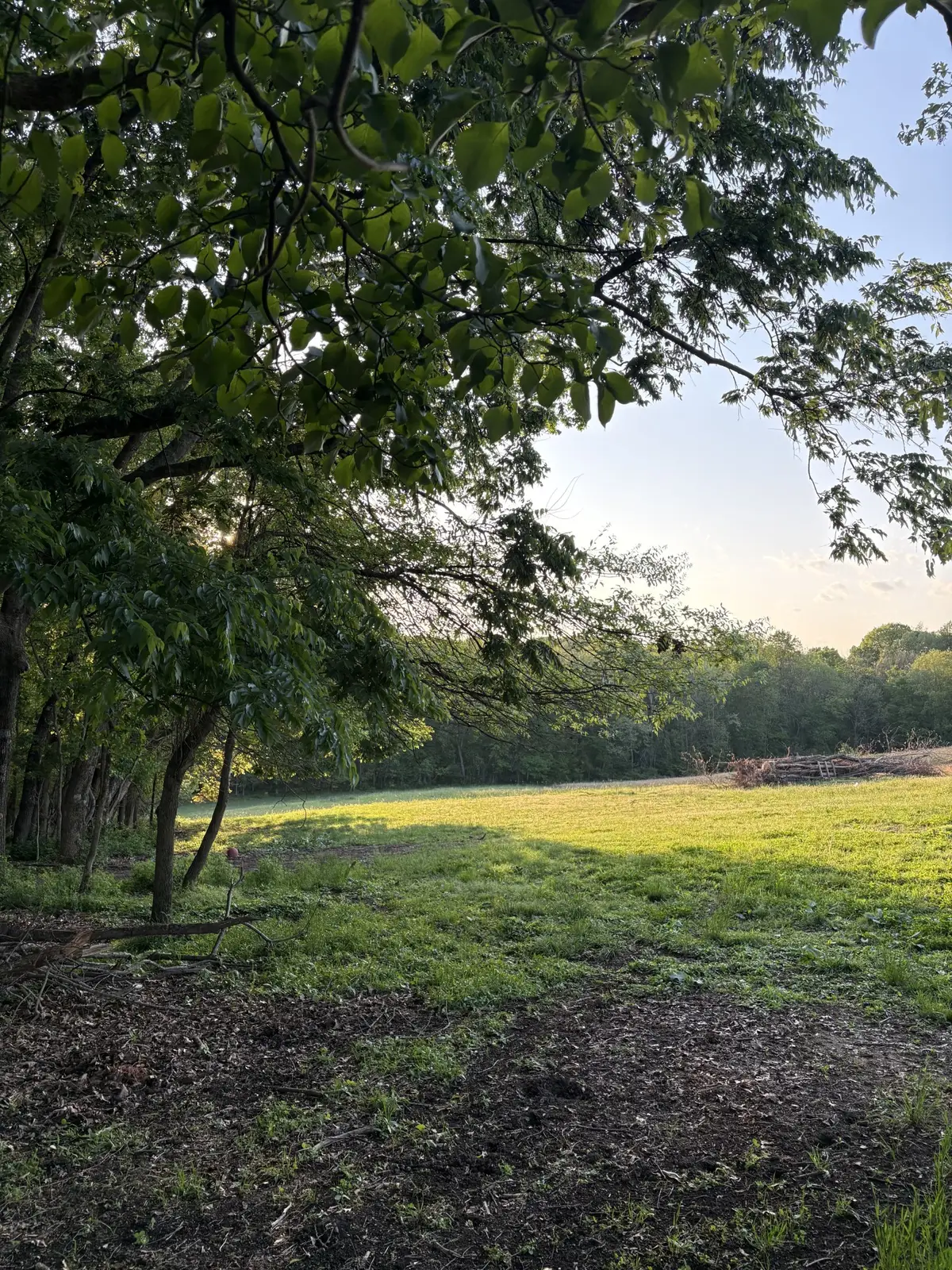 4884 Rock House Rd, Portland, TN 37148 - #1