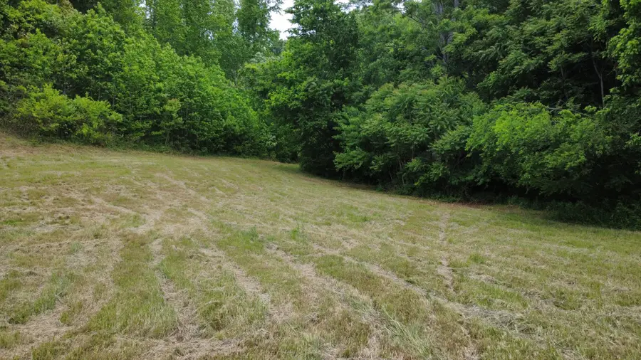 0 Love Branch Rd, Hampshire, TN 38461 - #2