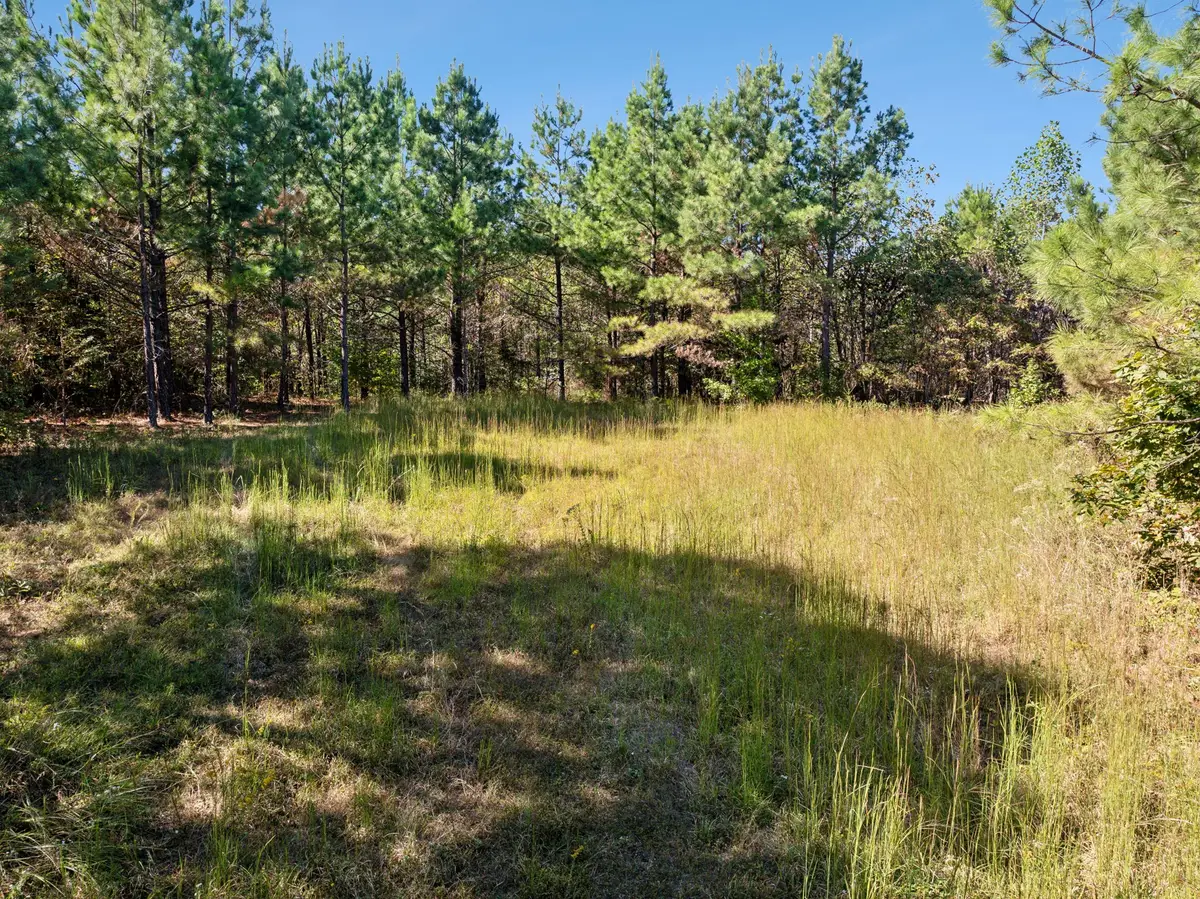0 Cox Hollow Lot 43a & 43b, Dover, TN 37058 - #1