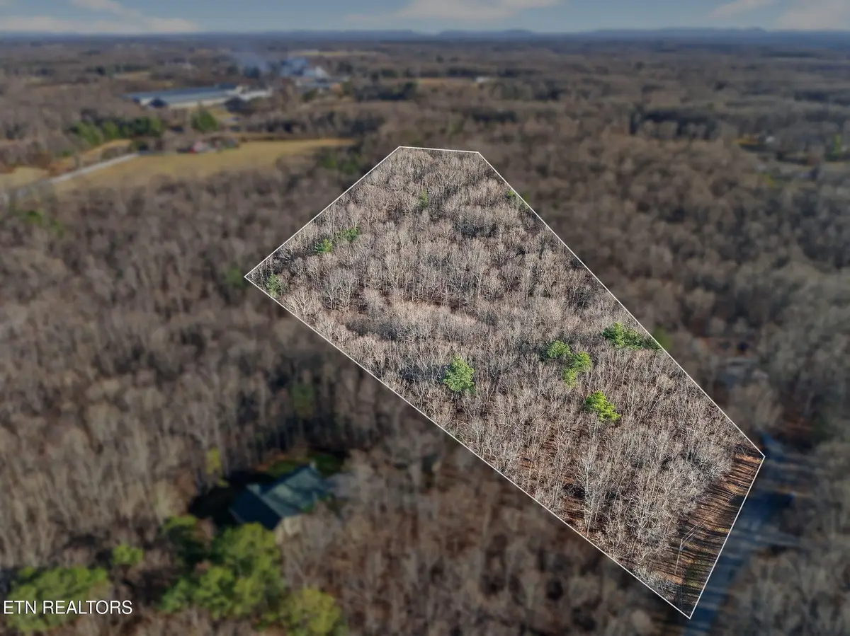 5 Clyde Place, Monterey, TN 38574 - #1