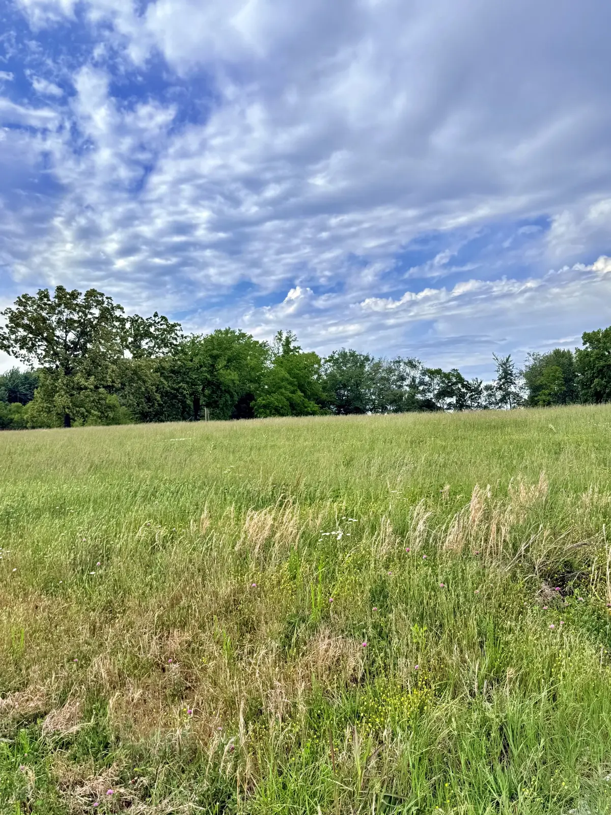 5165 Highway 41 N, Springfield, TN 37172 - #1