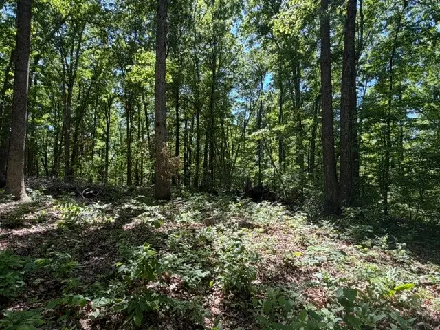 1 Bbq Rd, Dickson, TN 37055 - #2