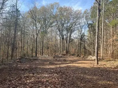 21 Bayview Dr, Bumpus Mills, TN 37028 - #1