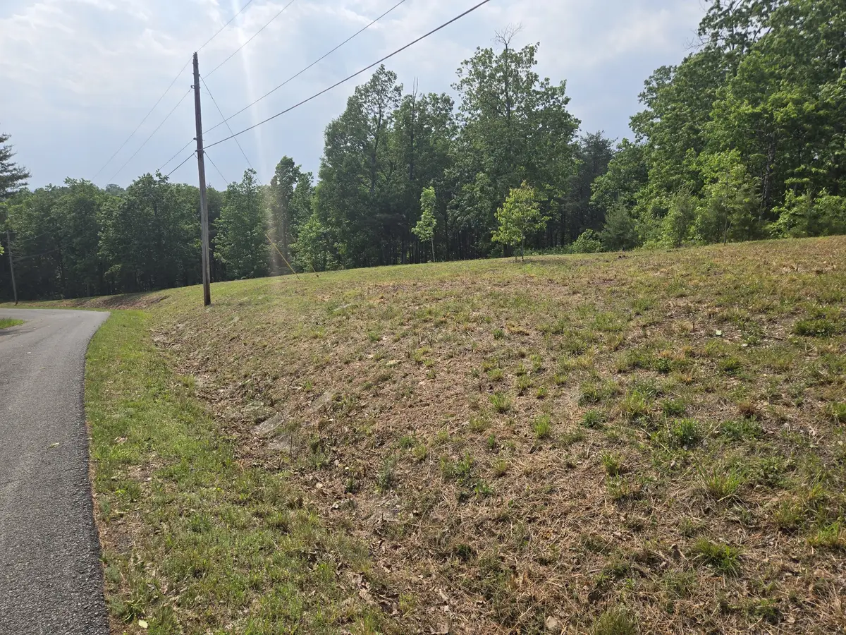 1 Turtle Point, Waverly, TN 37185 - #1