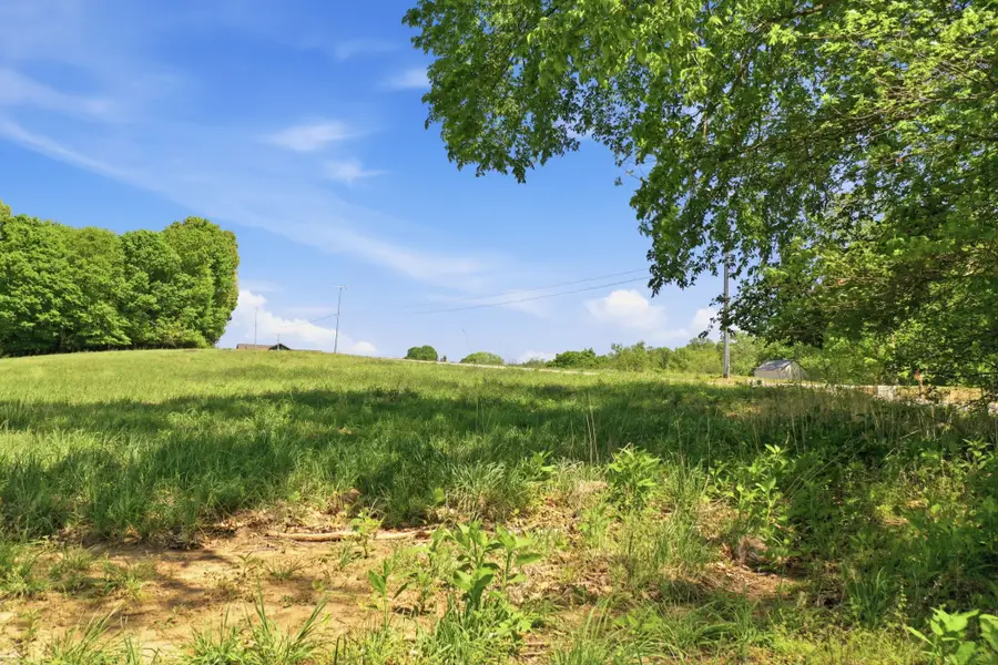 0 Gratton Road, Clarksville, TN 37043 - #3