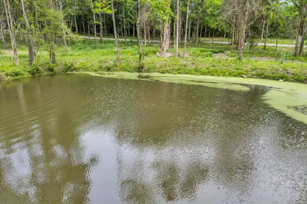 2827 Unionville Rd, Chapel Hill, TN 37034
