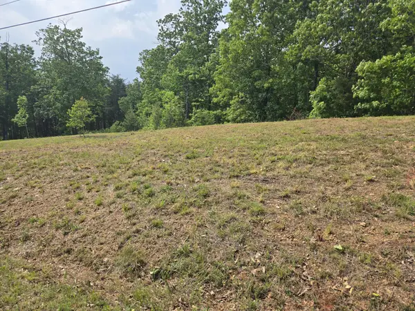 2 Turtle Point, Waverly, TN 37185
