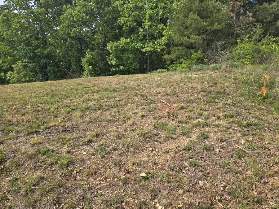 2 Turtle Point, Waverly, TN 37185 - #2