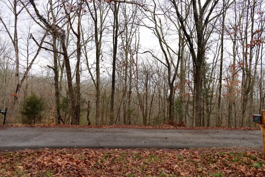 234 W End Dr, Waverly, TN 37185 - #3