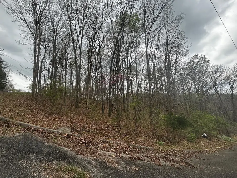 0 Co Rd 197, Athens, TN 37303 - #3