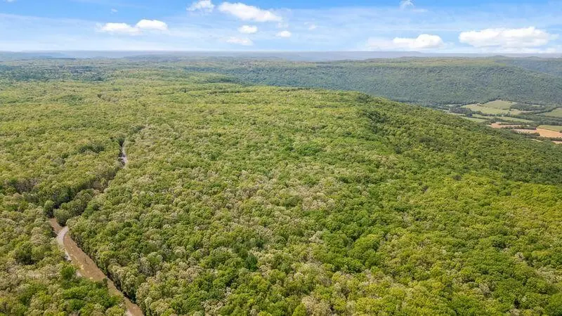 0 Deepwoods Road, Sewanee, TN 37375 - #2