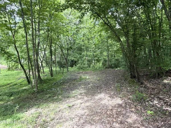 316 Wiley Town Rd, Newport, TN 37821