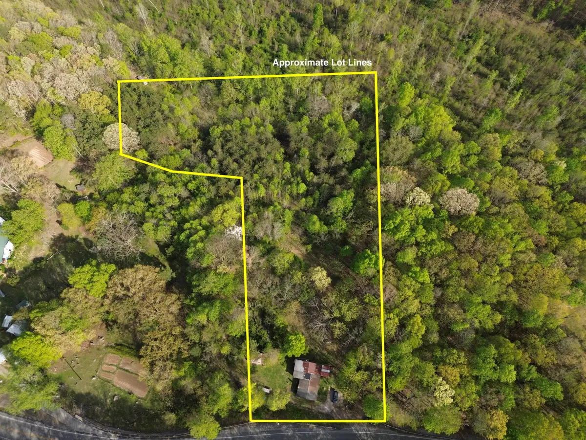 2990 Wassom Memorial Highway, Spring City, TN 37381 - #1