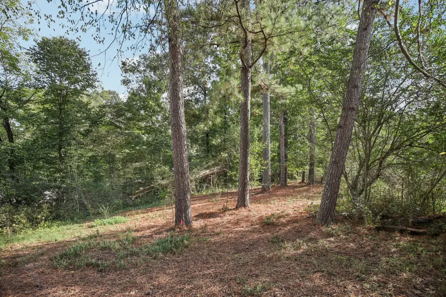 0 Old Clarksville Pk, Joelton, TN 37080 - #2