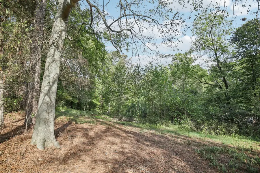 0 Old Clarksville Pk, Joelton, TN 37080 - #3