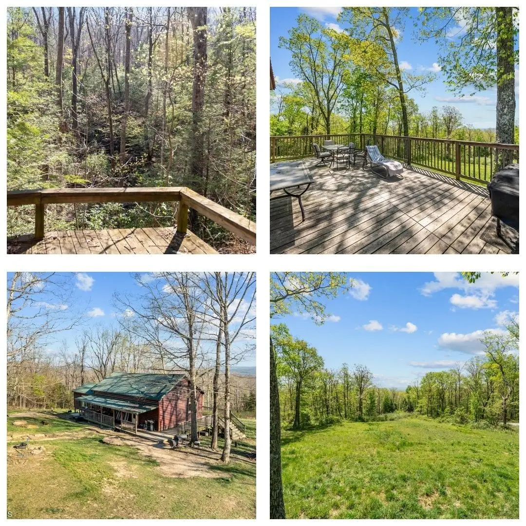 74 Black Cat Trl, Rockwood, TN 37854 - #1