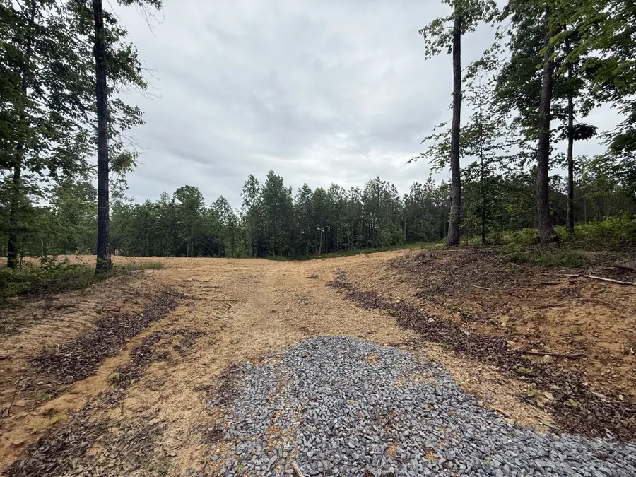 3047 Hwy 231, Erin, TN 37061 - #2