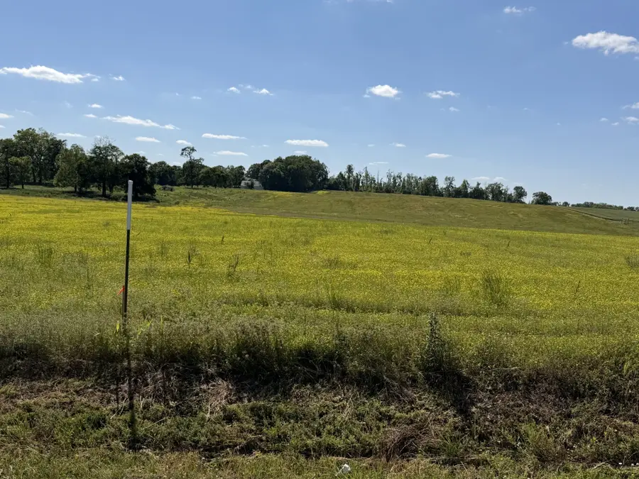 0 Pinson Rd, Springfield, TN 37172 - #2