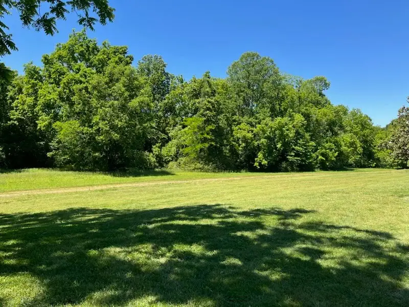 2127 Highway 166 N, Mount Pleasant, TN 38474 - #3