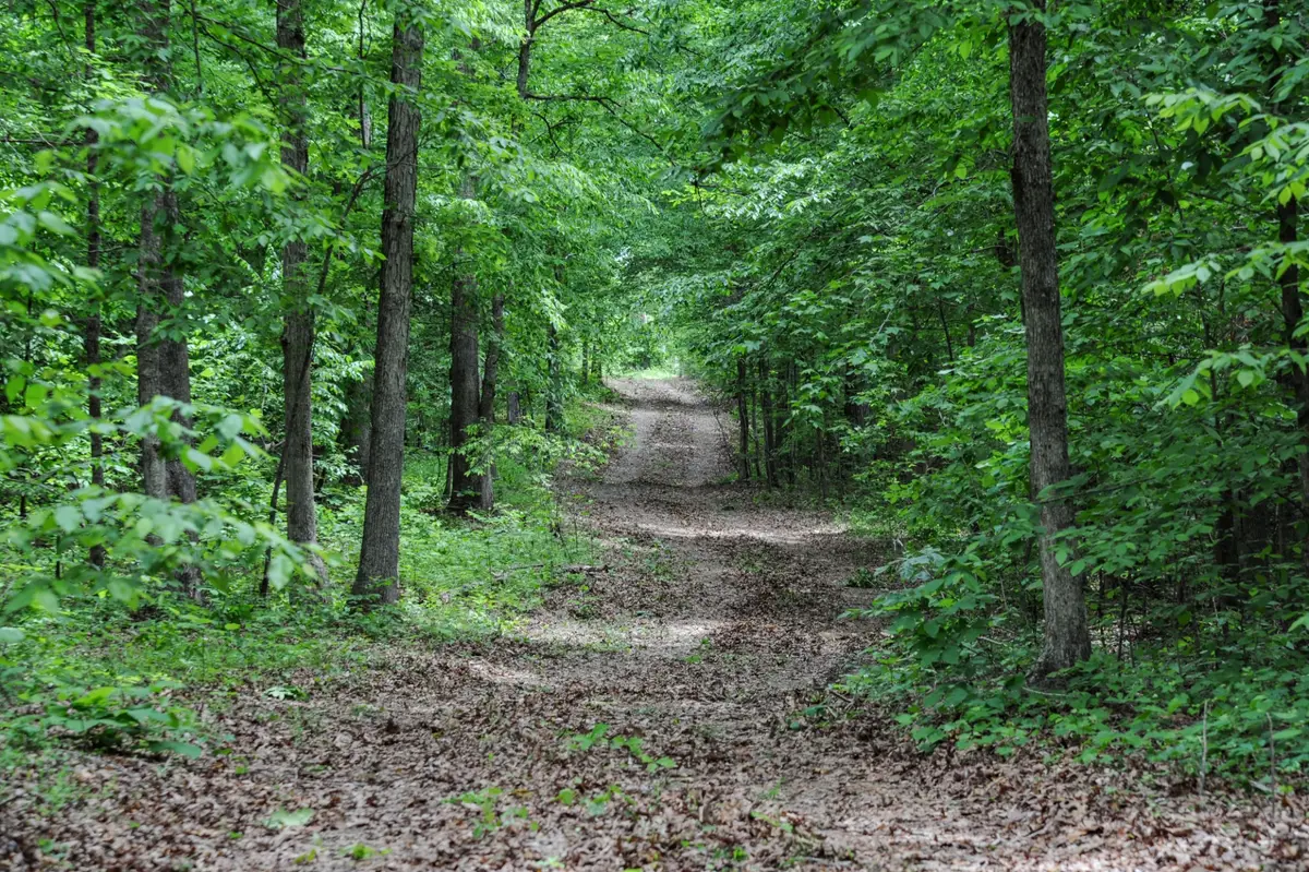 1855 Shiloh Church Rd, Camden, TN 38320 - #1