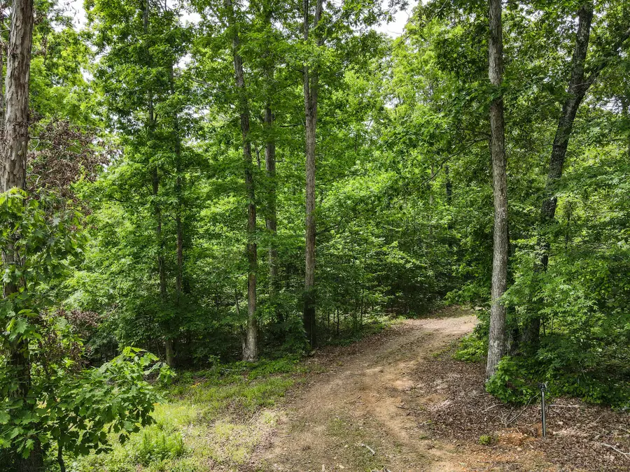 1855 Shiloh Church Rd, Camden, TN 38320 - #2