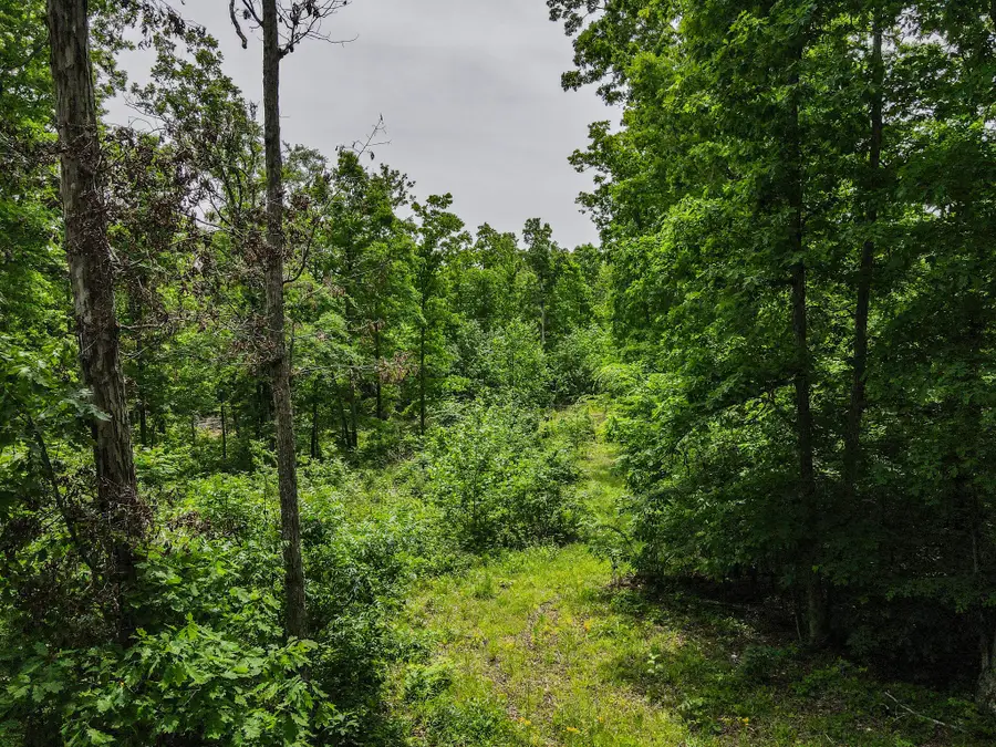 1855 Shiloh Church Rd, Camden, TN 38320 - #3
