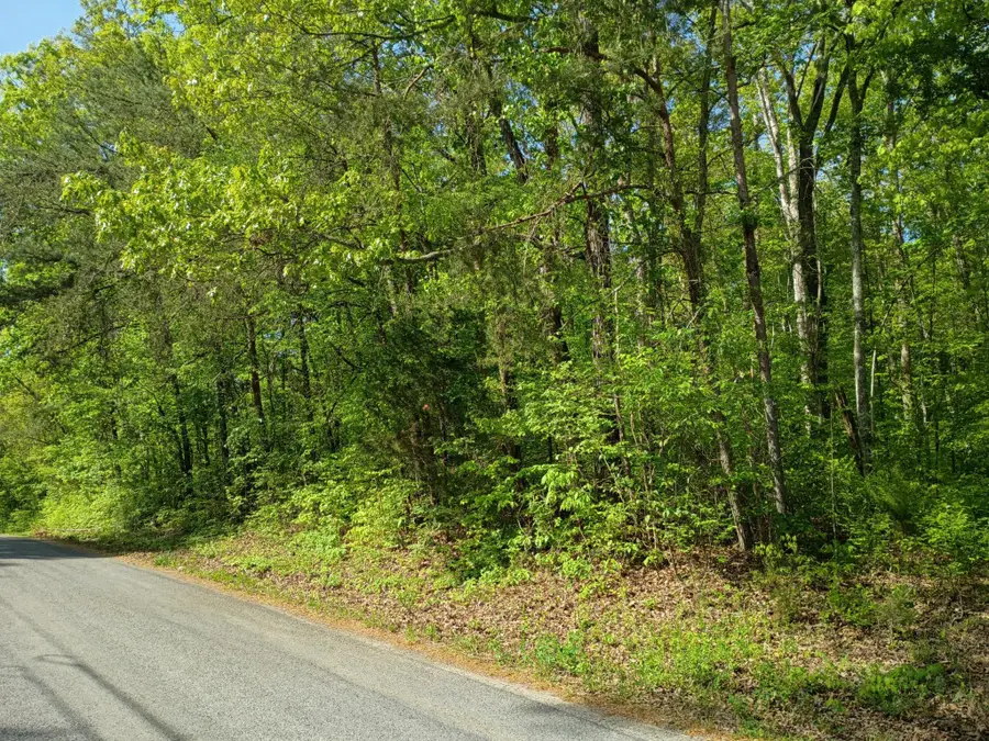 44 County Road 219, Decatur, TN 37322 - #2