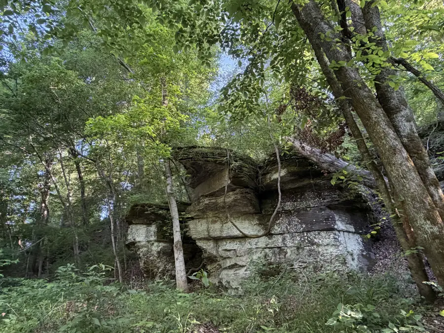 1490 Upper Standing Rock Rd, Dover, TN 37058 - #2
