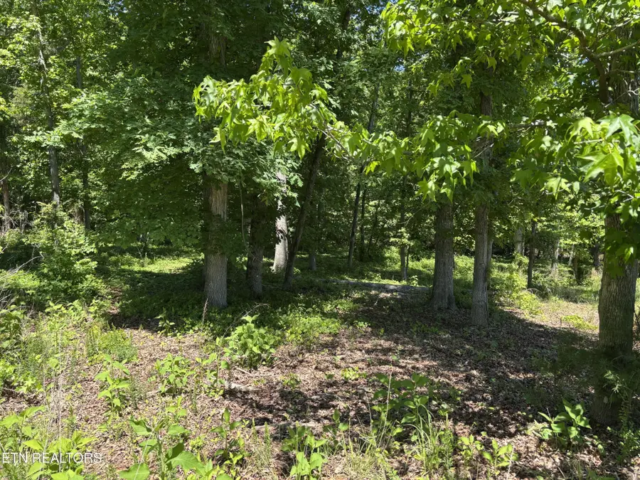 0 E Shore Drive, Rockwood, TN 37854 - #2