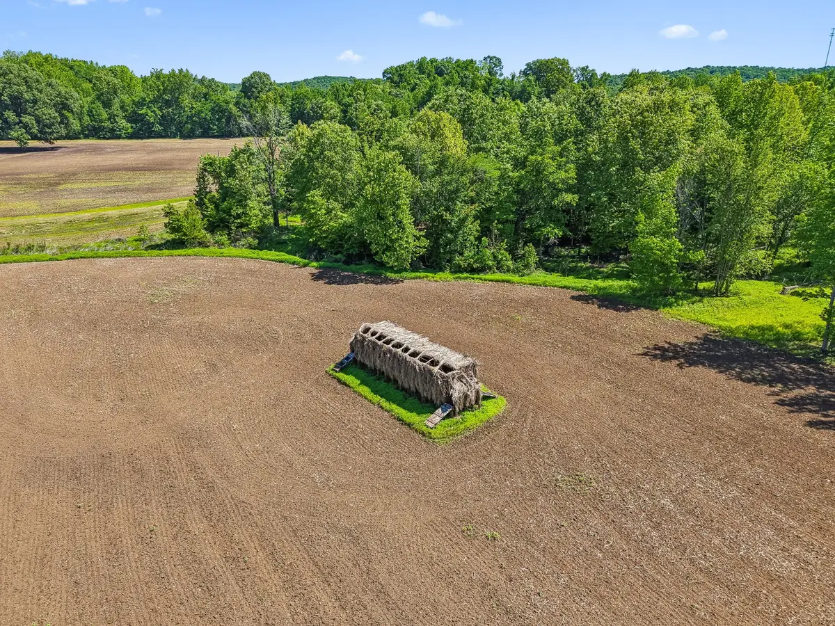 0 Rochelle Ln, Hurricane Mills, TN 37078 - #1